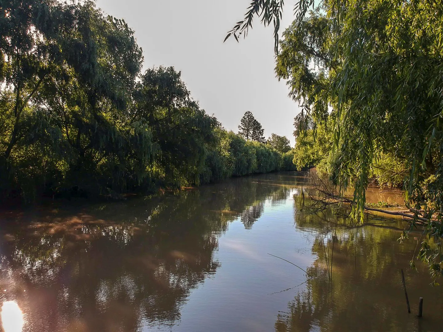 Vista del río Parana